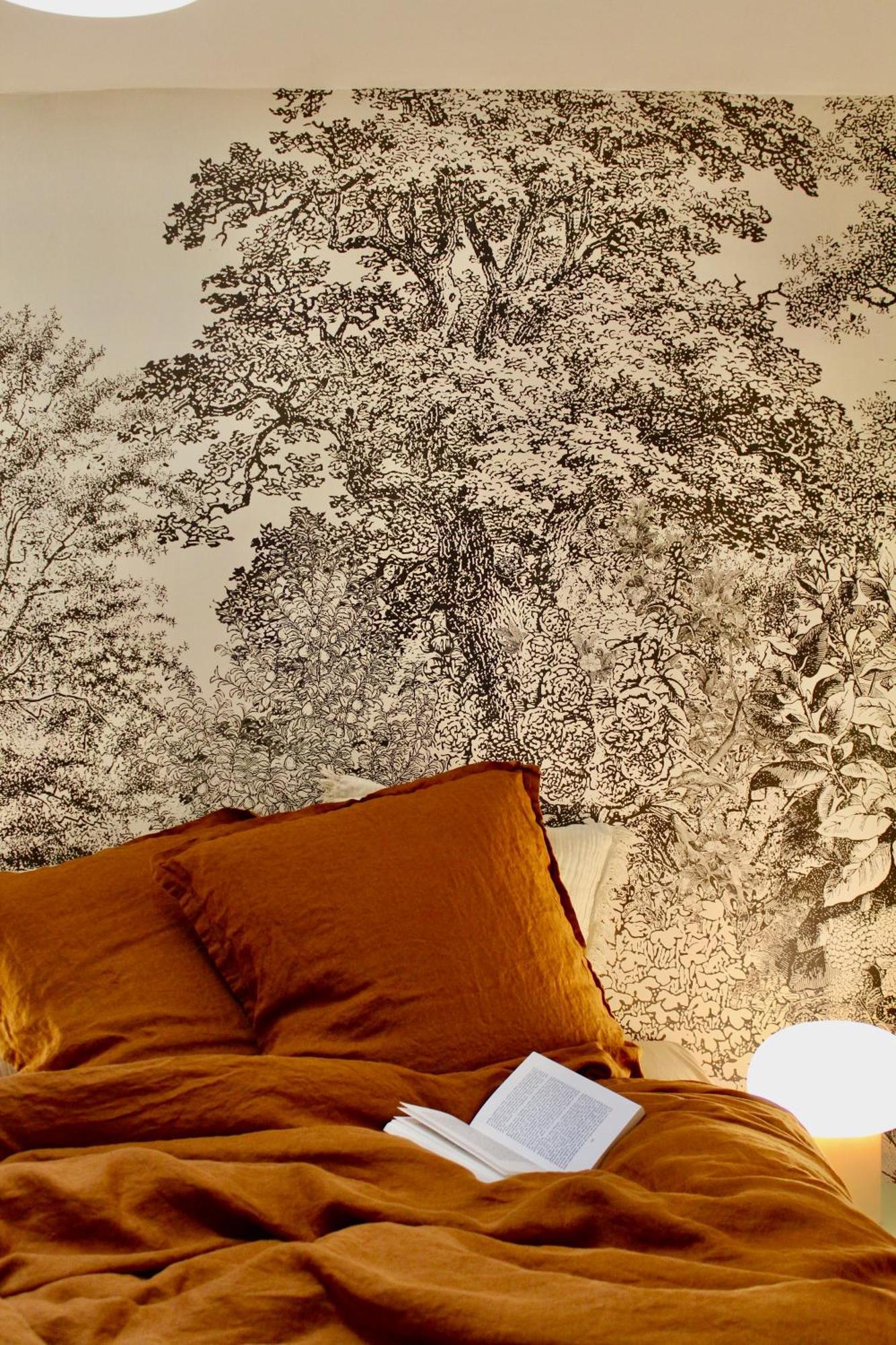 Maison Merci - Maison D'Hotes Carcassonne Esterno foto
